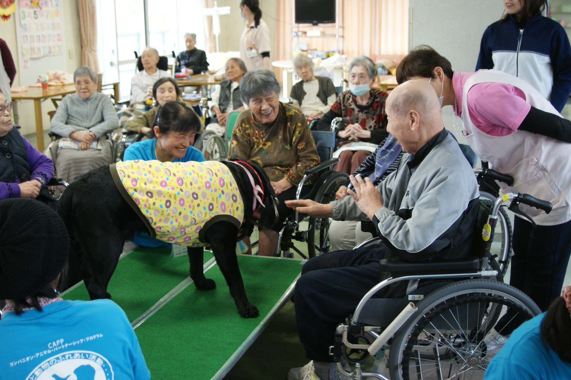 4月のアニマルセラピーの様子