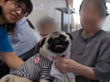 2019N@615@4K@Aj}Zs[ 07