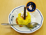 QOPSNPO@ڂv@fCPA401