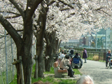 2006N@Ԍ@05
