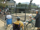 2006N@蓮@04