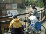 2006N@蓮@01