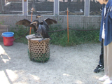 2006N@F쒆V@03