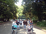 2006N@xON@{A 04
