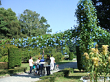 2008N@xON@{A 03