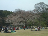 2009N@Ԍ@01