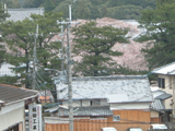 2010N@2K@Ԍ@ʐ^01
