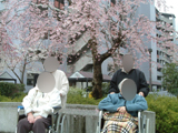 2010N@2K@Ԍ@ʐ^03