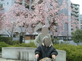 2010N@2K@Ԍ@ʐ^04