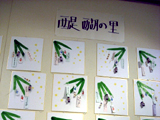 2010N@l𗬊ف@ʐ^04
