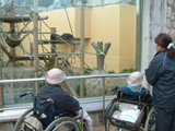2010N@蓮@3K@ʐ^03