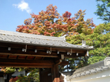 2010N@V@4K@ʐ^01
