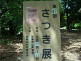 2010N@sA@ʐ^01