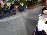 2010N@sA@ʐ^04