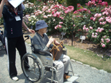 2010N@sA@ʐ^07