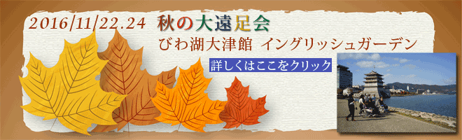H̑剓2016N