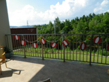 QOPVN@fCPA@čՂ@05