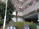 2019N47@Ԍ@04
